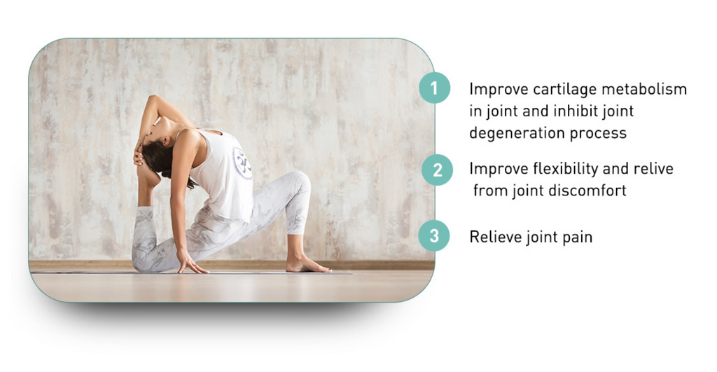 GluzoJoint-F Capsules