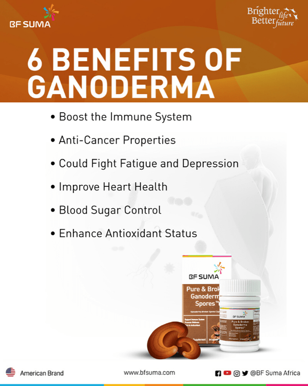 Pure & Broken Ganoderma Spores Oil (60's)