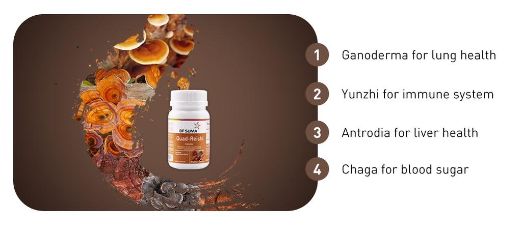 Quad Reishi Capsules