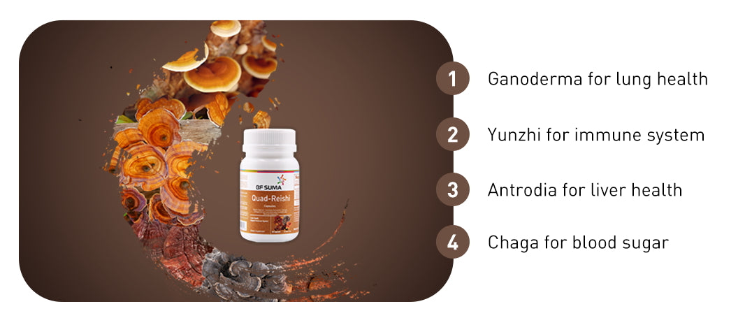 Quad Reishi Capsules