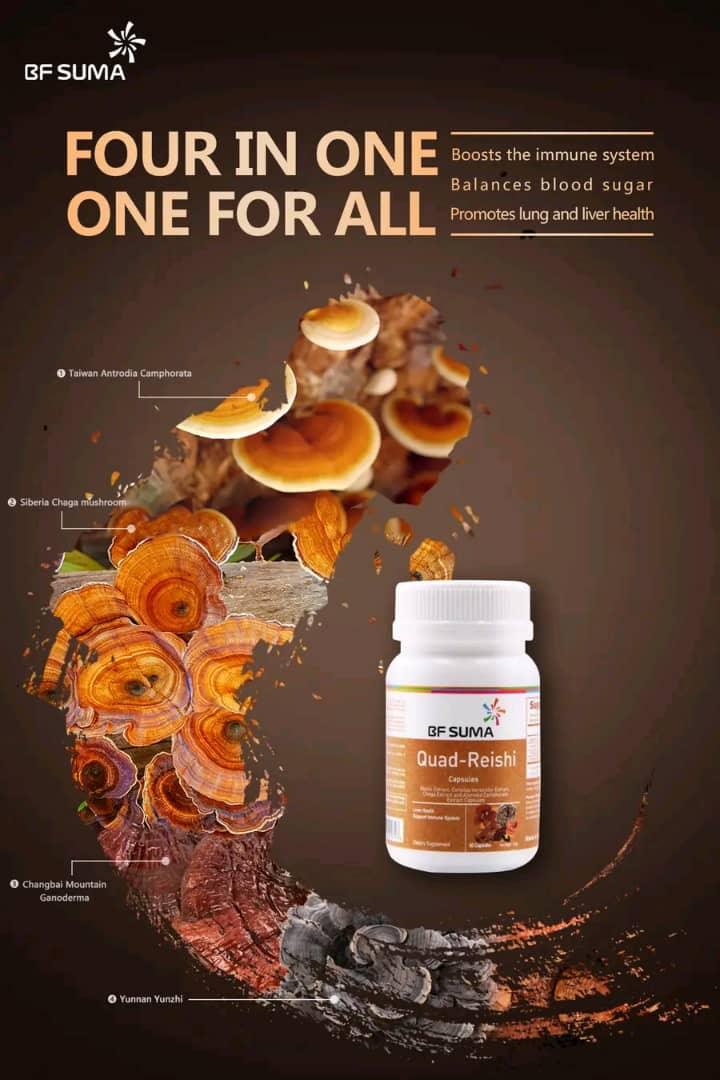 Quad Reishi Capsules